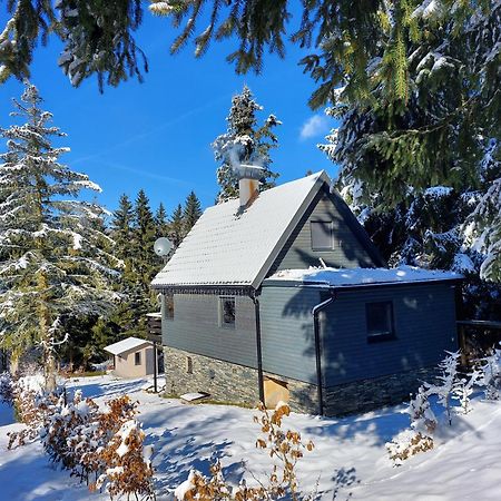 Chata 100 Český Jiřetín Cesky Jiretin Exterior foto