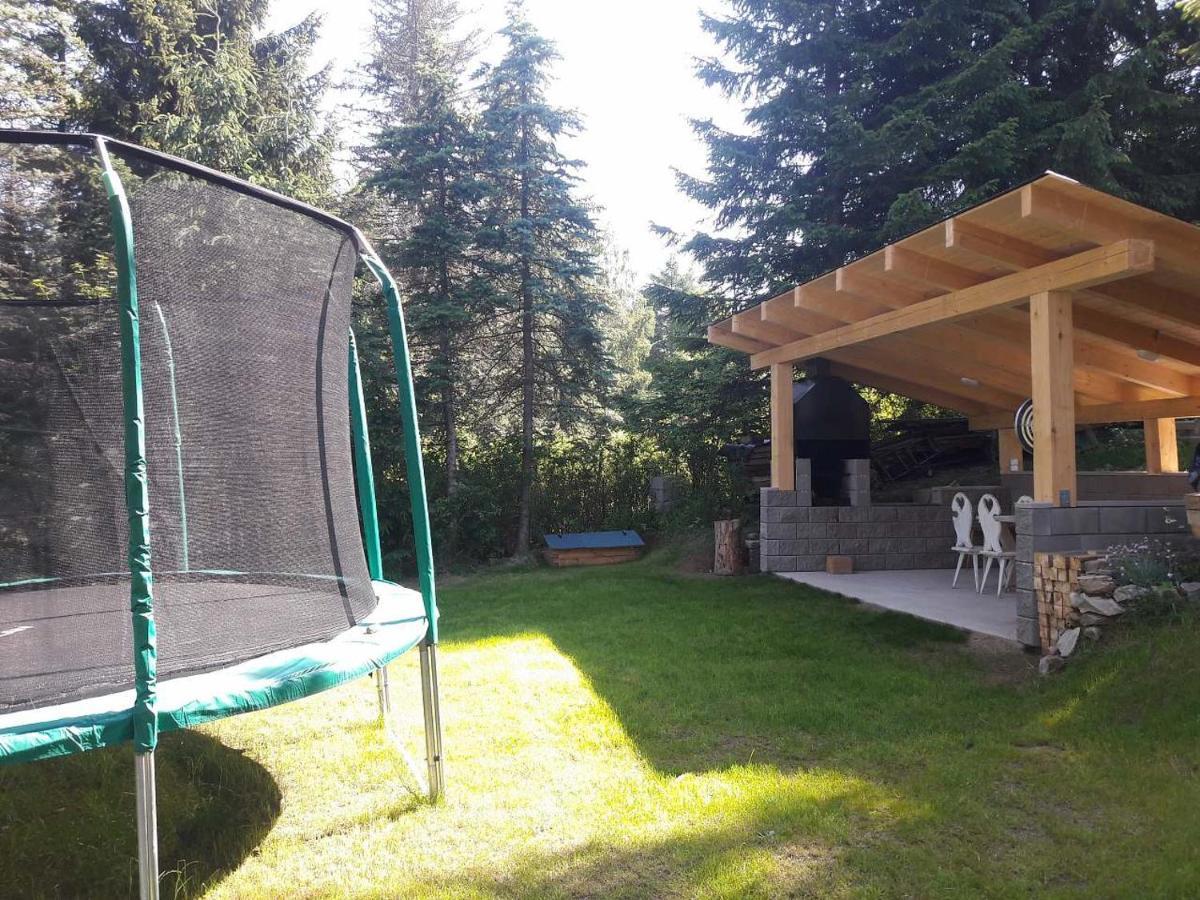 Chata 100 Český Jiřetín Cesky Jiretin Exterior foto