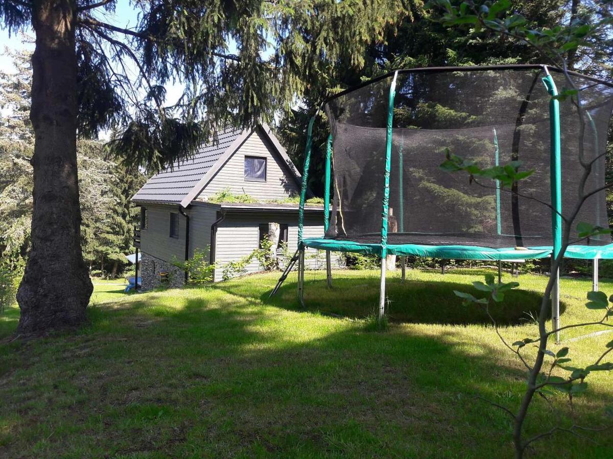 Chata 100 Český Jiřetín Cesky Jiretin Exterior foto