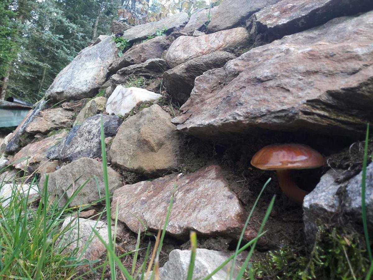 Chata 100 Český Jiřetín Cesky Jiretin Exterior foto